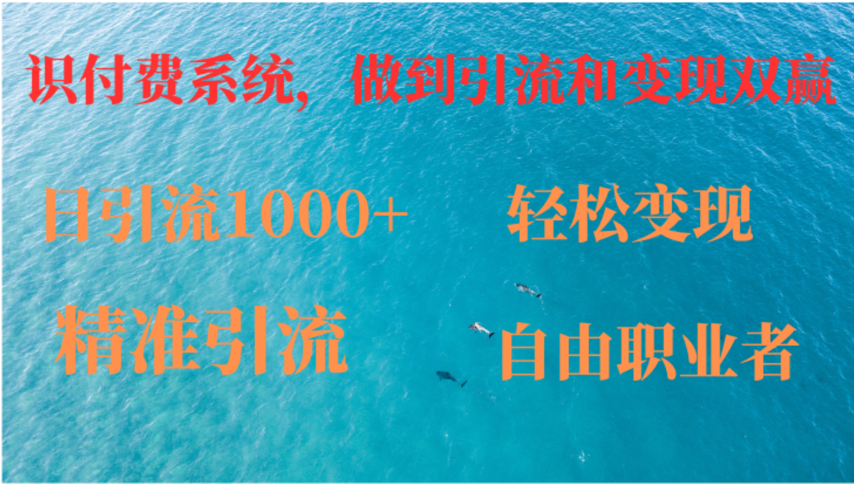 如何搭建自己的知识付费系统，做到引流和变现双赢-皮皮网创