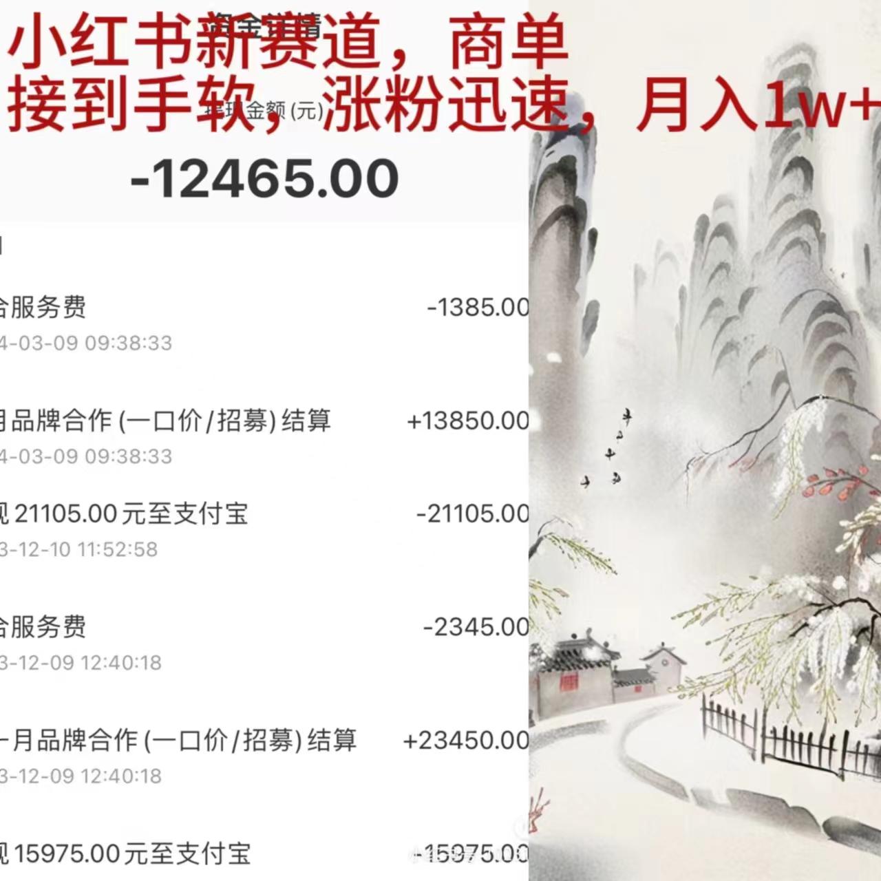 (9476期)小红书新赛道，商单接到手软，涨粉迅速，月入1w+-皮皮网创
