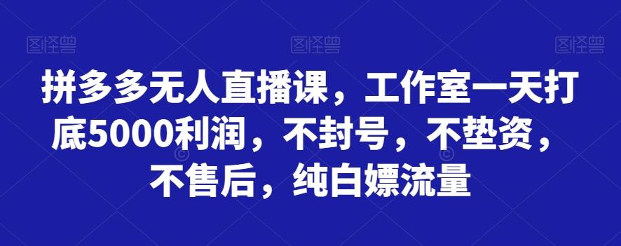 拼多多无人直播课，工作室一天打底5000利润，不封号，不垫资，不售后，纯白嫖流量-皮皮网创