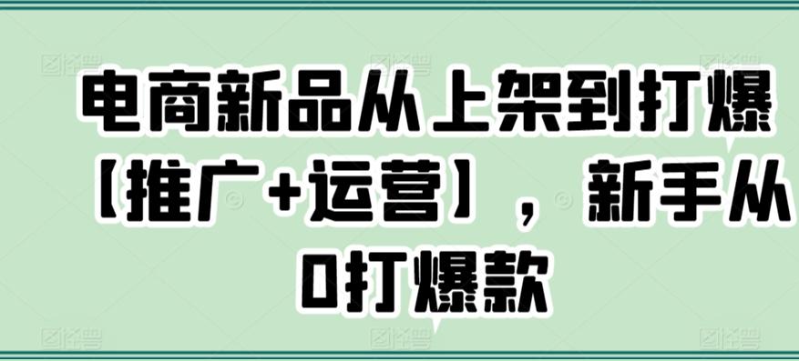 电商新品从上架到打爆【推广+运营】，新手从0打爆款-皮皮网创