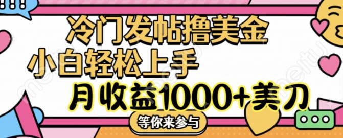 冷门发帖撸美金项目，月收益1000+美金，简单无脑，干就完了【揭秘】-皮皮网创