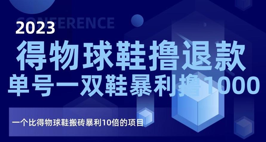 2023得物球鞋撸退款，单号一双鞋暴利撸1000，一个比得物球鞋搬砖暴利10倍的项目【揭秘】-皮皮网创
