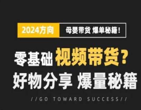 短视频母婴赛道实操流量训练营，零基础视频带货，好物分享，爆量秘籍-皮皮网创