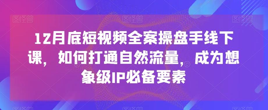 12月底短视频全案操盘手线下课，如何打通自然流量，成为想象级IP必备要素-皮皮网创