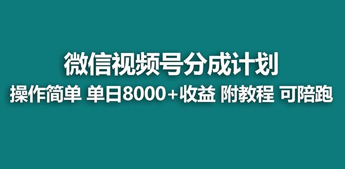【蓝海项目】视频号分成计划最新玩法，单天收益8000+，附玩法教程，24年…-皮皮网创