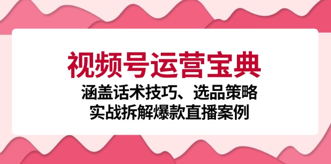 视频号运营宝典：涵盖话术技巧、选品策略、实战拆解爆款直播案例-皮皮网创