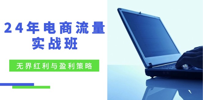 24年电商流量实战班：无界 红利与盈利策略，终极提升/关键词优化/精准…-皮皮网创