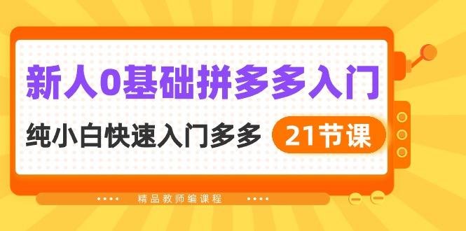 新人0基础拼多多入门，​纯小白快速入门多多(21节课-皮皮网创