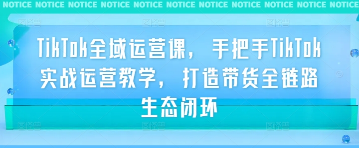 TikTok全域运营课，手把手TikTok实战运营教学，打造带货全链路生态闭环-皮皮网创