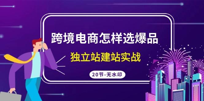 (9369期)跨境电商怎样选爆品，独立站建站实战(20节高清无水印课)-皮皮网创