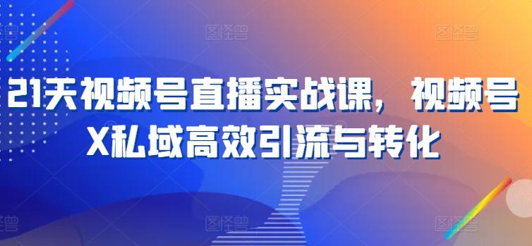 21天视频号直播实战课，视频号X私域高效引流与转化-皮皮网创