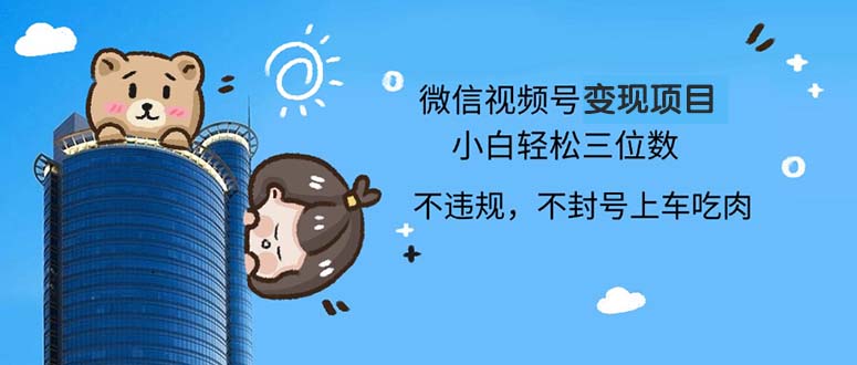 2024最新微信视频号变现项目，小白轻松月入四位数-皮皮网创