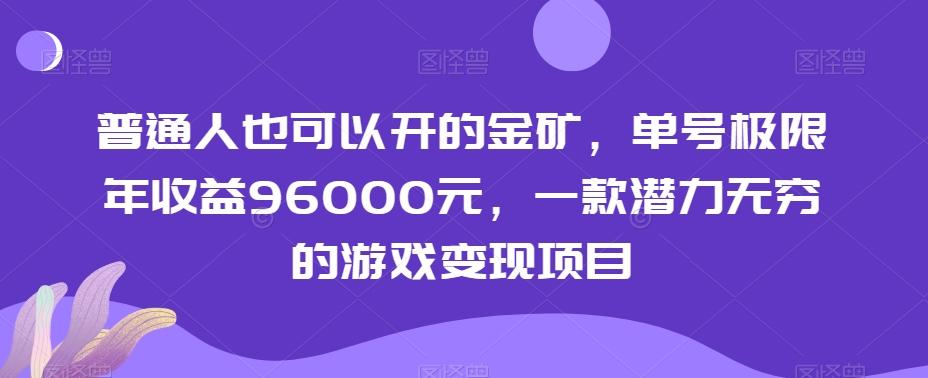 普通人也可以开的金矿，单号极限年收益96000元，一款潜力无穷的游戏变现项目【揭秘】-皮皮网创
