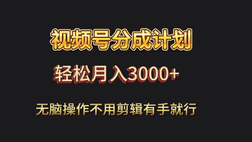 视频号流量分成，不用剪辑，有手就行，轻松月入2000+-皮皮网创