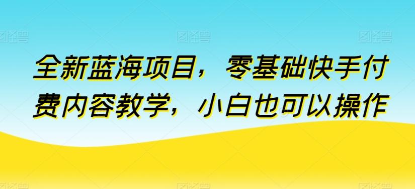 全新蓝海项目，零基础快手付费内容教学，小白也可以操作【揭秘】-皮皮网创