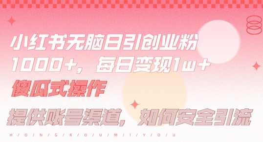小红书无脑每日引流创业粉500+，小白每天只花半小时，躺赚长尾收益【揭秘】-皮皮网创
