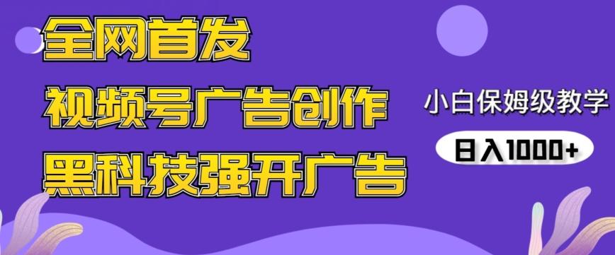 全网首发蝴蝶号广告创作，用AI做视频，黑科技强开广告，小白跟着做，日入1000+【揭秘】-皮皮网创