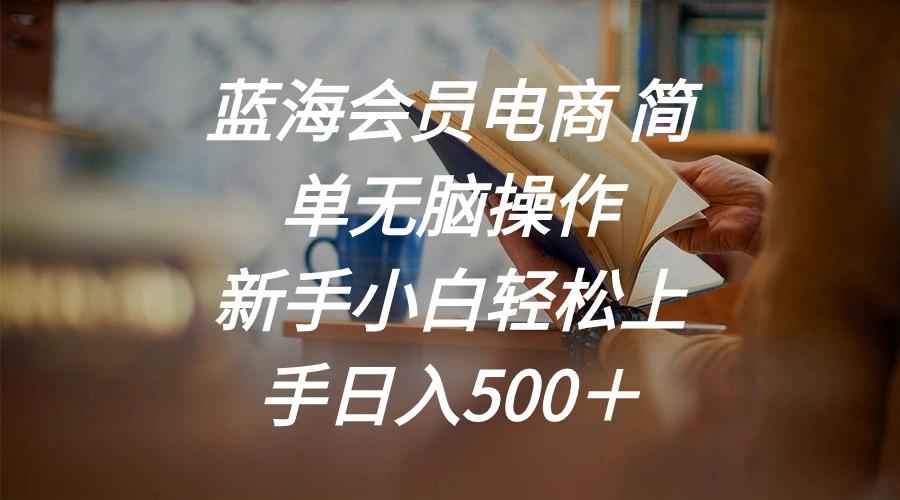 蓝海会员电商 简单无脑操作 新手小白轻松上手日入500＋-皮皮网创