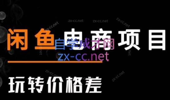 亿创繁星·闲鱼电商项目(玩转价格差)-皮皮网创