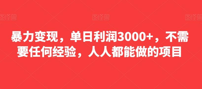 暴力变现，单日利润3000+，不需要任何经验，人人都能做的项目-皮皮网创