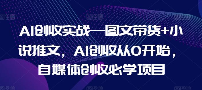 AI创收实战—图文带货+小说推文，AI创收从0开始，自媒体创收必学项目-皮皮网创