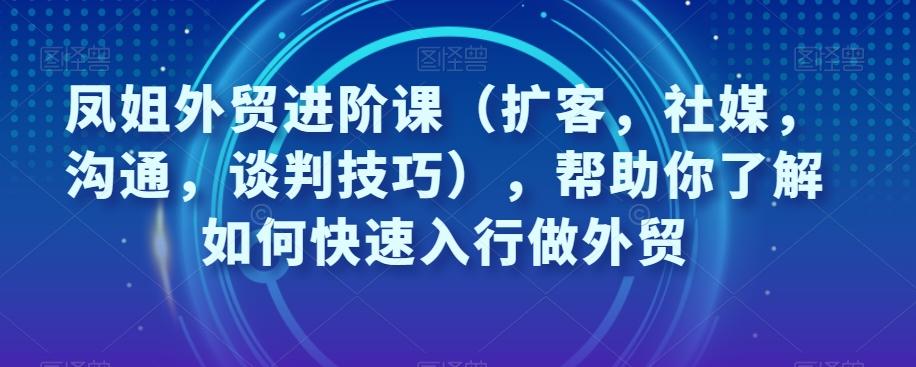 凤姐外贸进阶课（扩客，社媒，沟通，谈判技巧），帮助你了解如何快速入行做外贸-皮皮网创