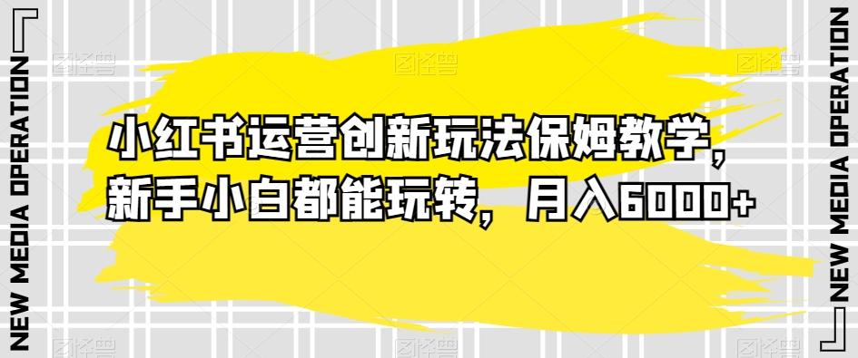 小红书运营创新玩法保姆教学，新手小白都能玩转，月入6000+【揭秘】-皮皮网创