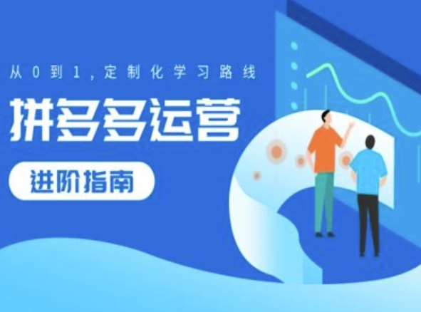 拼多多运营进阶指南，从0到1定制化学习路线-皮皮网创