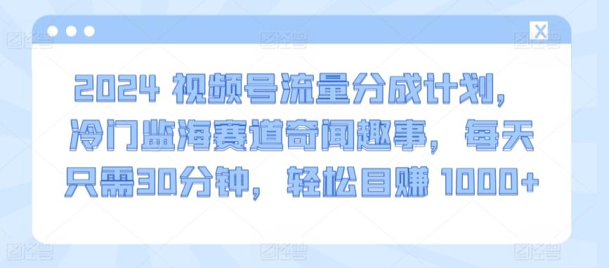 2024视频号流量分成计划，冷门监海赛道奇闻趣事，每天只需30分钟，轻松目赚 1000+【揭秘】-皮皮网创