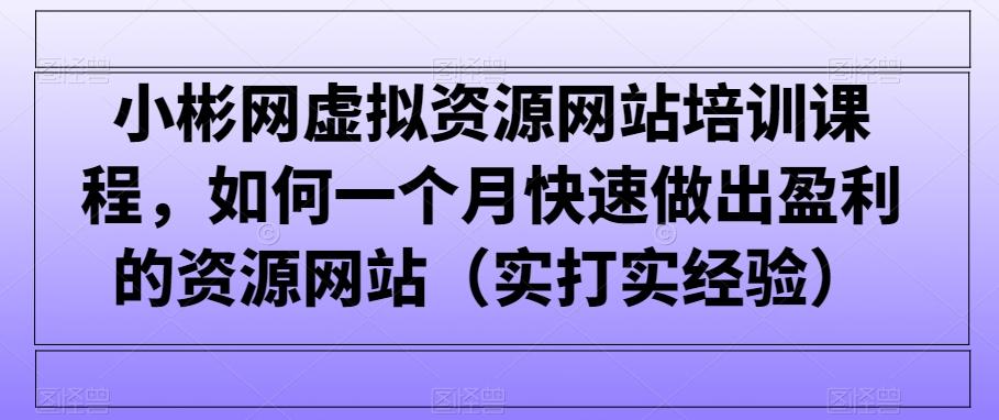 小彬网虚拟资源网站培训课程，如何一个月快速做出盈利的资源网站(实打实经验)-皮皮网创