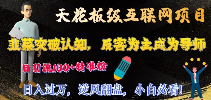 天花板级互联网项目，韭菜突破认知，反客为主成为导师，日引流100+精准粉-皮皮网创