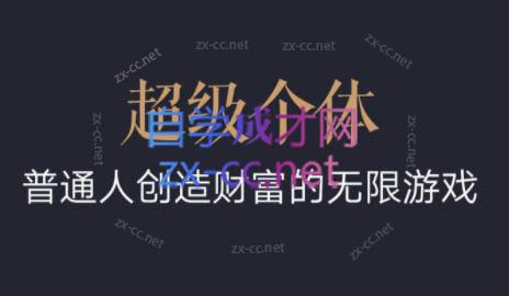 超级个体·普通人创造财富的无限游戏-皮皮网创
