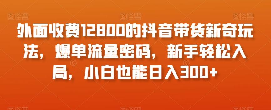 外面收费12800的抖音带货新奇玩法，爆单流量密码，新手轻松入局，小白也能日入300+【揭秘】-皮皮网创