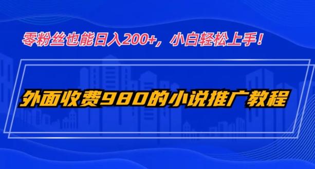 外面收费980的小说推广教程：零粉丝也能日入200+，小白轻松上手！-皮皮网创