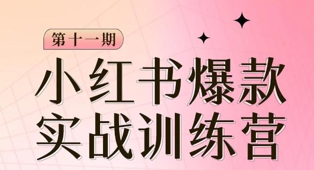 小红书博主爆款训练营第11期，手把手教你从0-1做小红书，从定位到起号到变现-皮皮网创
