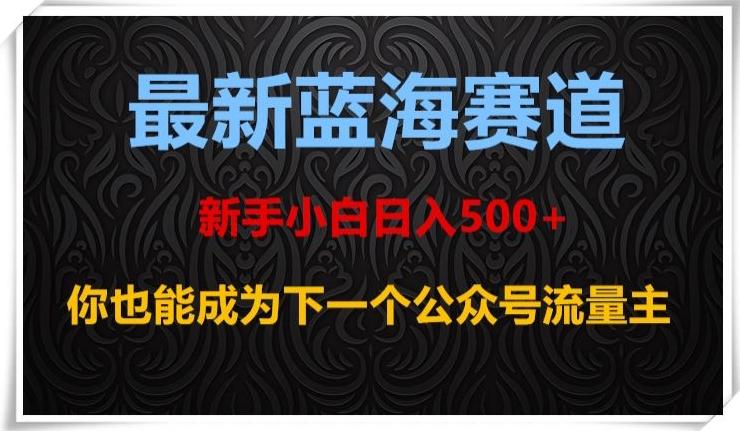 最新蓝海赛道，新手小白日入500+，你也能成为下一个公众号流量主【揭秘】-皮皮网创