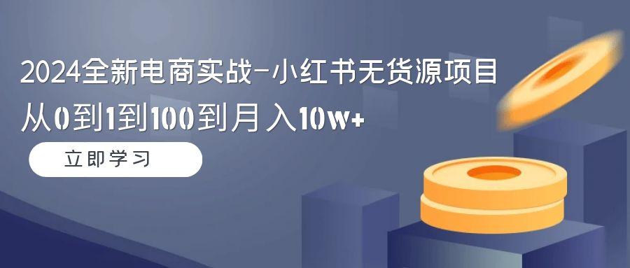 2024全新电商实战-小红书无货源项目：从0到1到100到月入10w+-皮皮网创