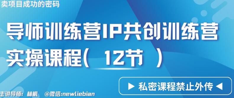 导师训练营3.0IP共创训练营私密实操课程(12节)-卖项目的密码成功秘诀【揭秘】-皮皮网创