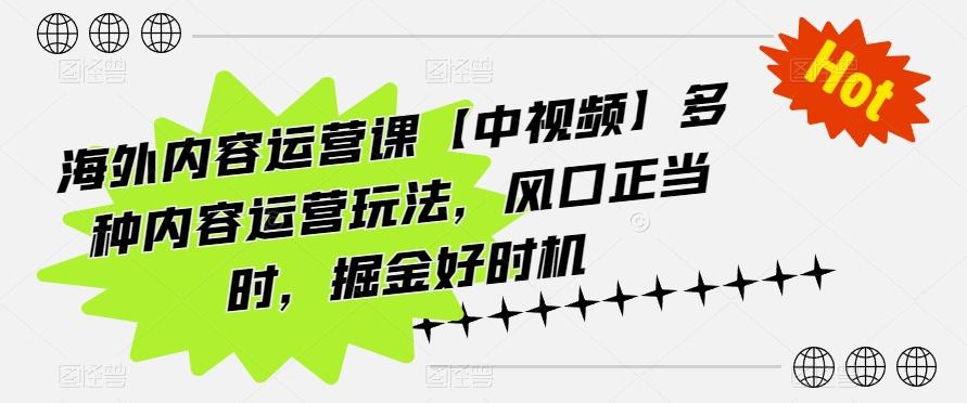 海外内容运营课【中视频】多种内容运营玩法，风口正当时，掘金好时机-皮皮网创