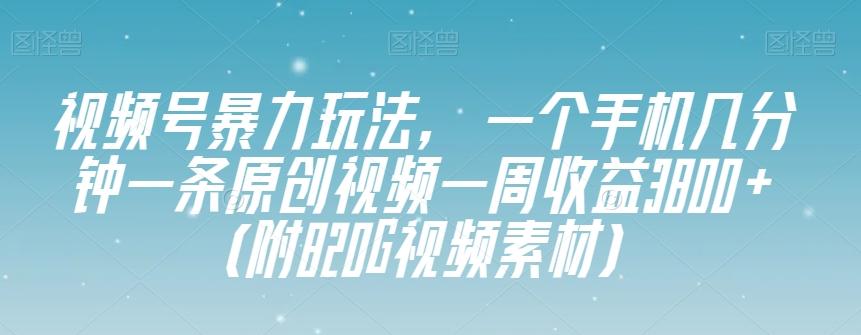 视频号暴力玩法，一个手机几分钟一条原创视频一周收益3800+（附820G视频素材）-皮皮网创