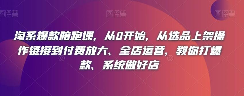 淘系爆款陪跑课，从0开始，从选品上架操作链接到付费放大、全店运营，教你打爆款、系统做好店-皮皮网创