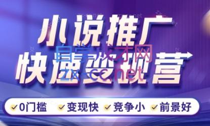 洲洲老师·小说推广快速变现营-皮皮网创