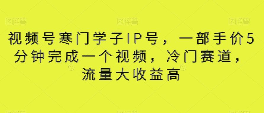 视频号寒门学子IP号，一部手价5分钟完成一个视频，冷门赛道，流量大收益高【揭秘】-皮皮网创