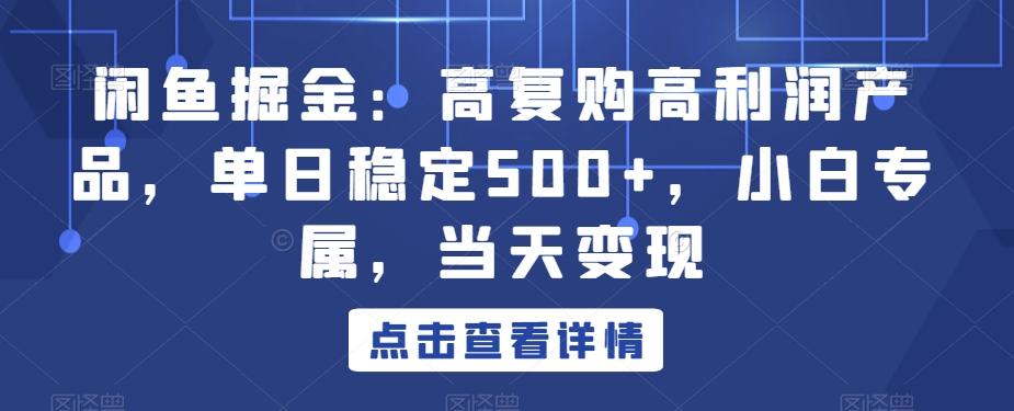 闲鱼掘金：高复购高利润产品，单日稳定500+，小白专属，当天变现-皮皮网创