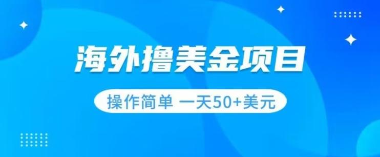 撸美金项目无门槛操作简单小白一天50+美刀-皮皮网创