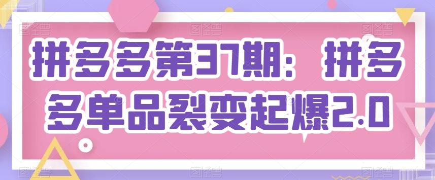 拼多多第37期：拼多多单品裂变起爆2.0-皮皮网创