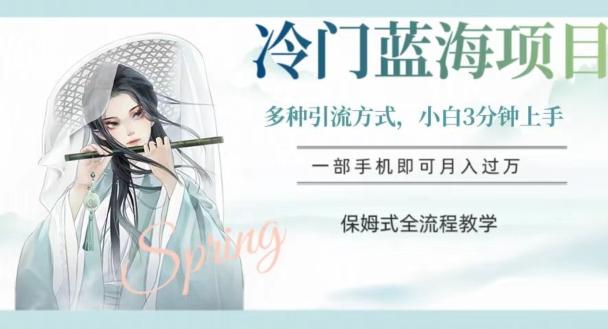 冷门蓝海项目，操作简单，小白3分钟上手，多种引流方式，保姆式全流程教学【揭秘】-皮皮网创
