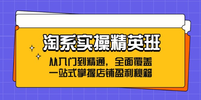 淘系实操精英班:从入门到精通,全面覆盖,一站式掌握店铺盈利秘籍-皮皮网创