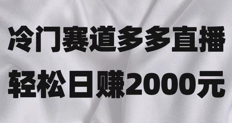 冷门赛道拼多多直播，简单念稿子，日收益2000＋【揭秘】-皮皮网创
