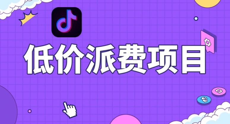 抖音低价派单项目，0门槛，日入1000+很轻松，小白可操作【揭秘】-皮皮网创